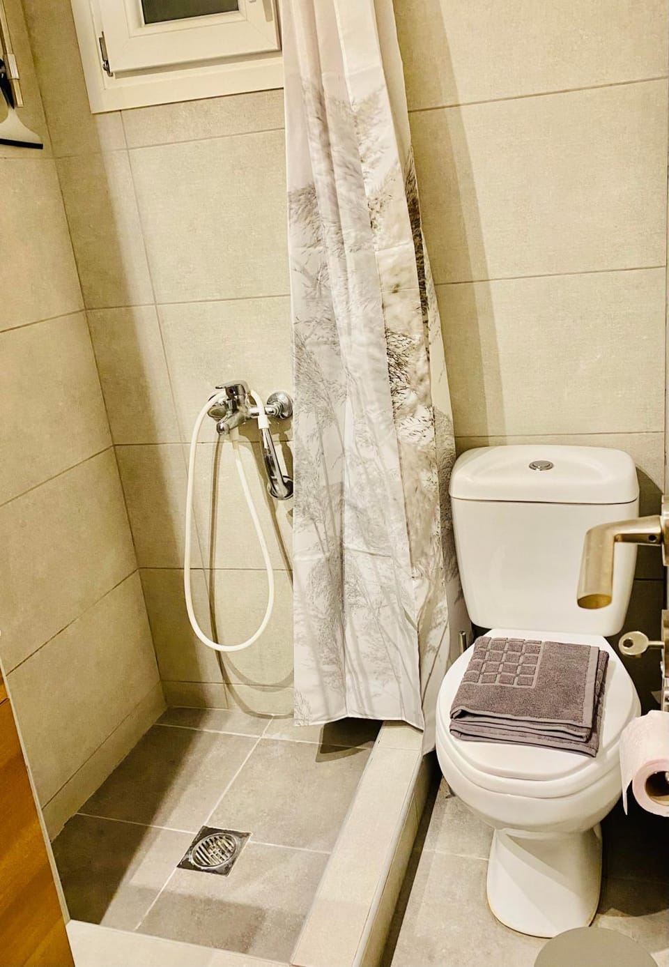 Shower, Toilet, Bathroom, towels