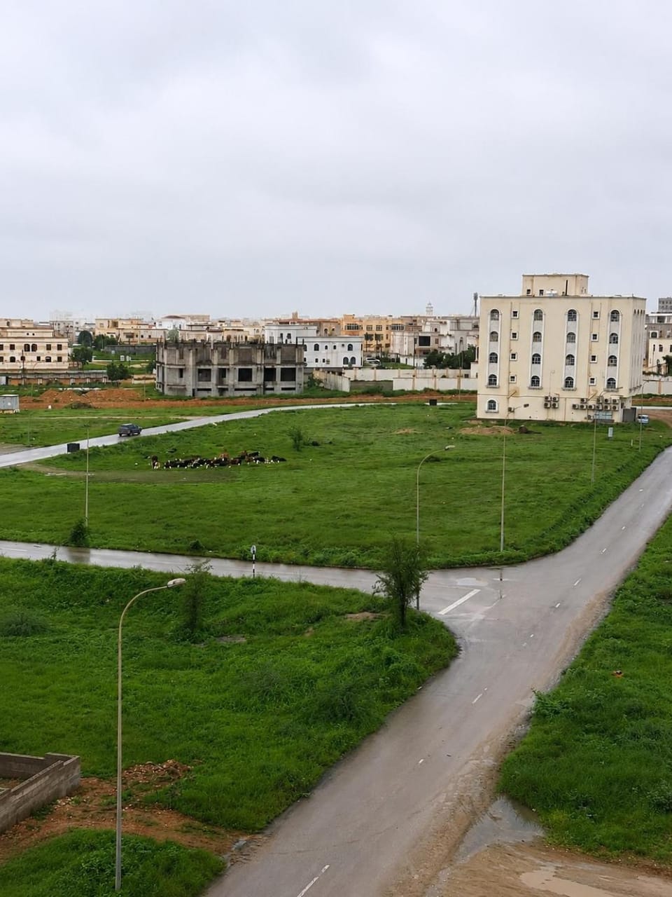 Neighbourhood, Natural landscape, View (from property/room), City view, Garden view, Street view, Quiet street view