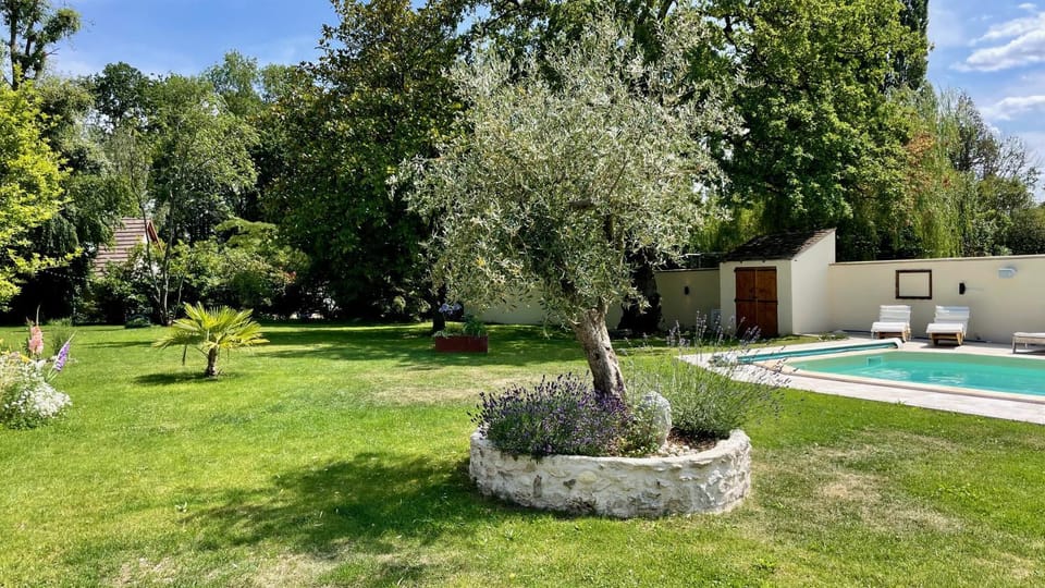 Natural landscape, Garden, Garden view, Pool view, Swimming pool, sunbed