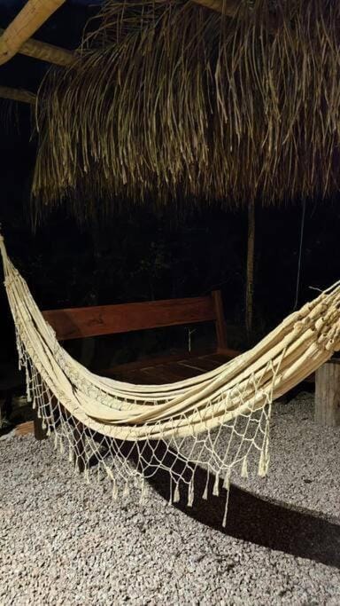 Night, Garden
