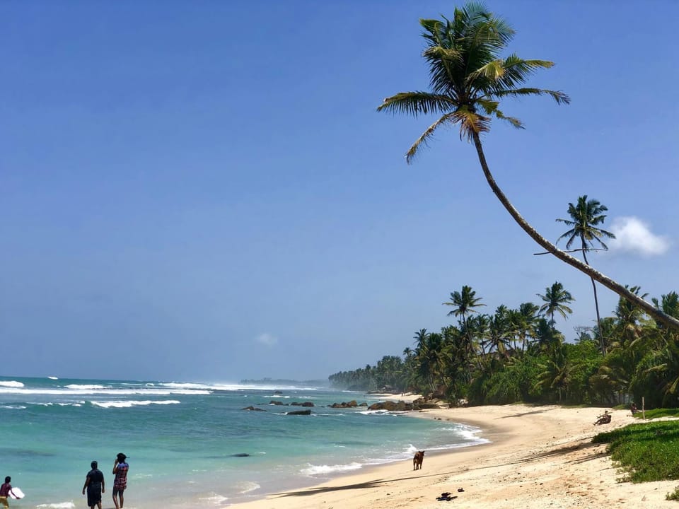 Beach