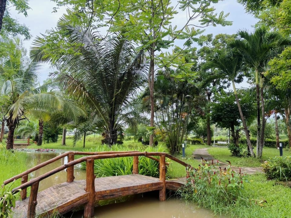 Garden, Garden, Garden view