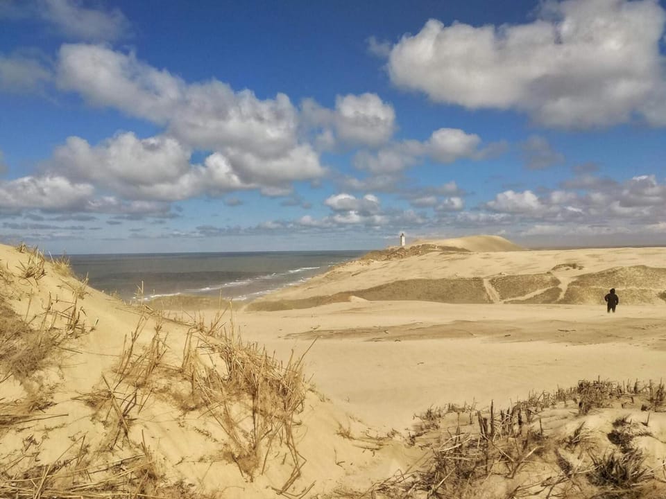 Lake view
