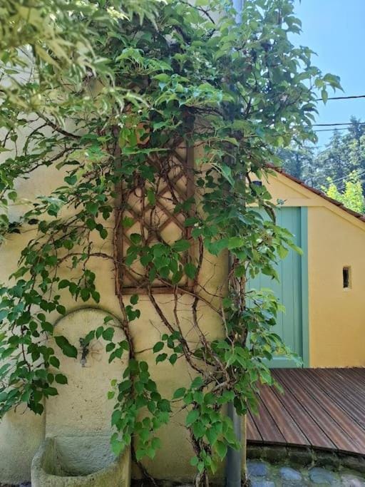 Patio, Garden