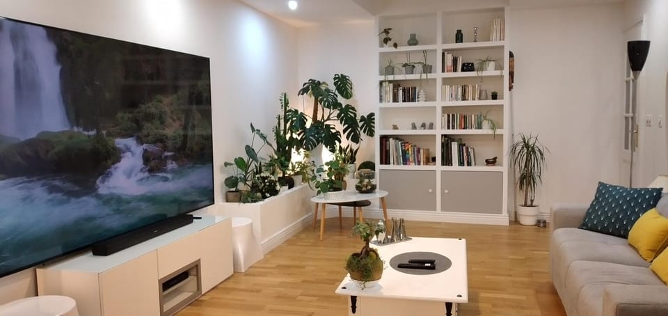 TV and multimedia