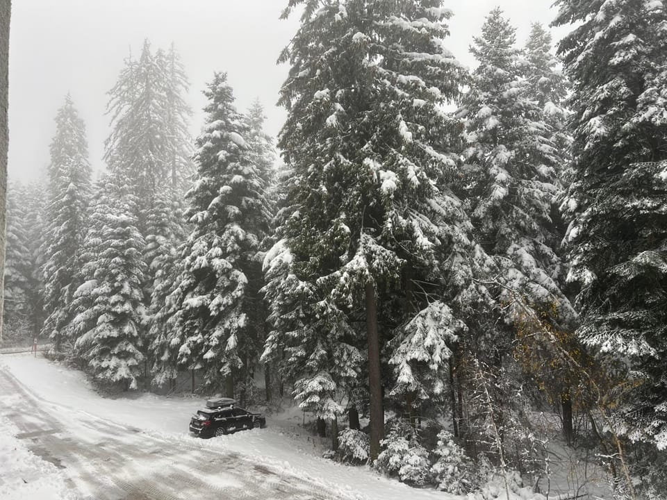Natural landscape, Winter