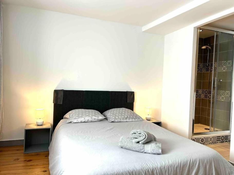 Hyper Centre Charmant T2 idéalement situé Apartment in Auvergne-Rhône-Alpes