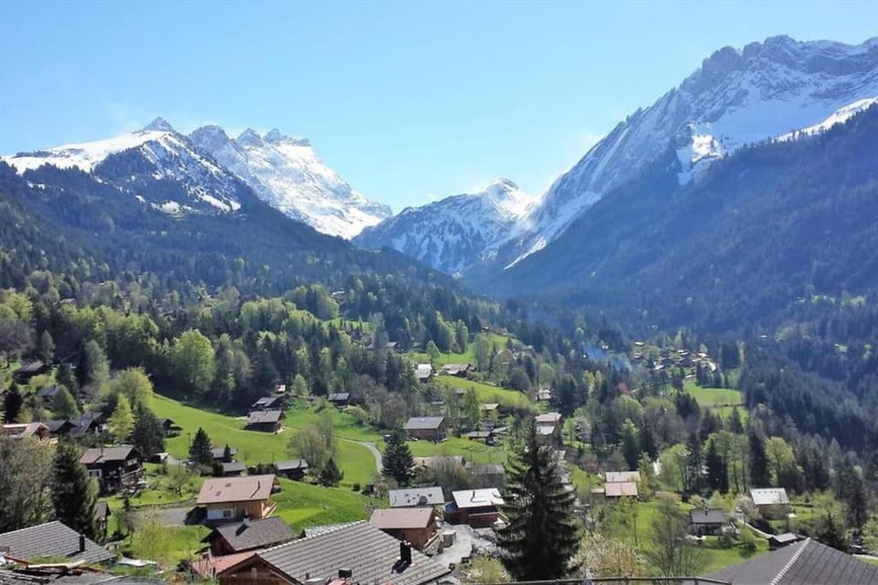 Terra Nostra B04 Apartment in Ollon