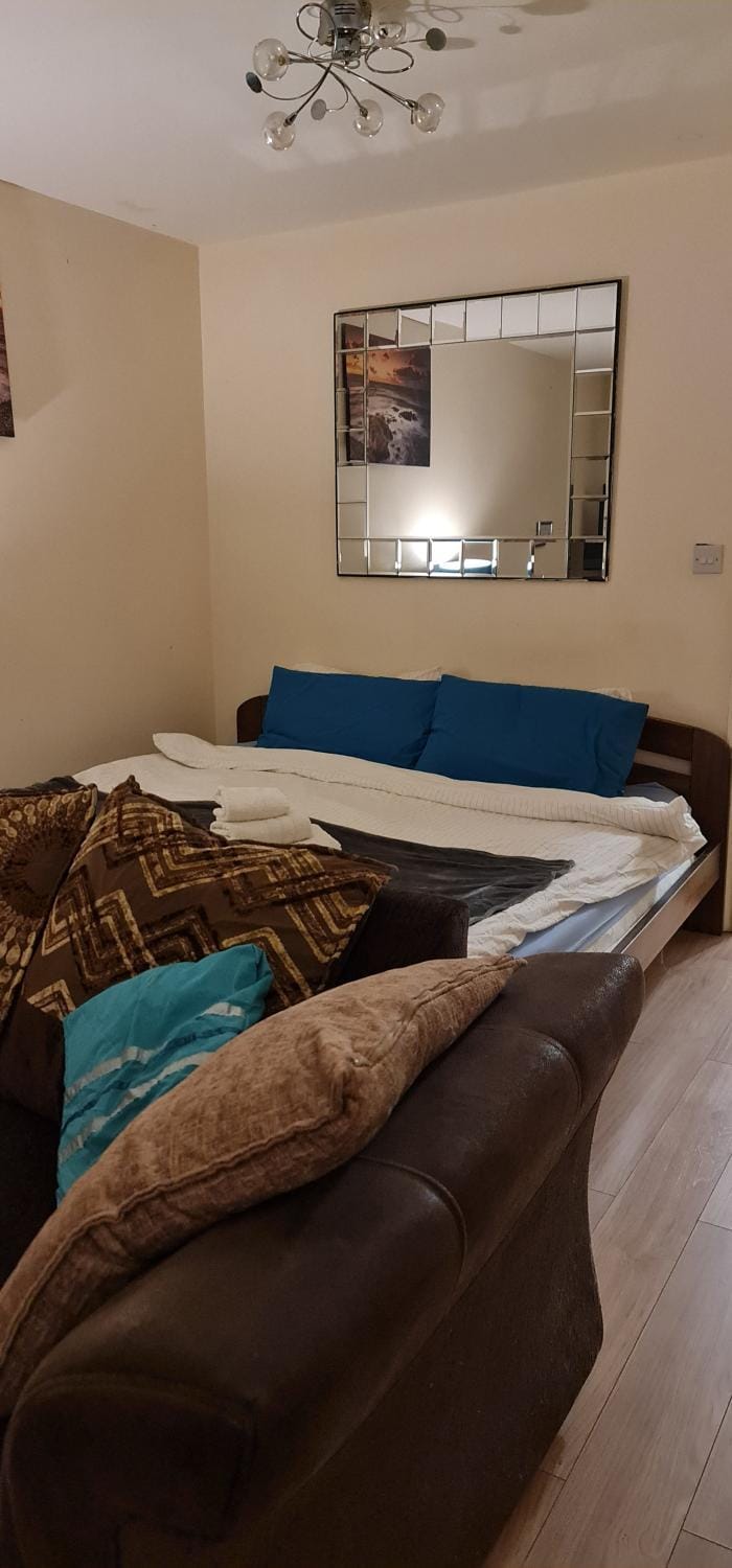 Bed, Living room, Photo of the whole room, Seating area, Bedroom, fireplace