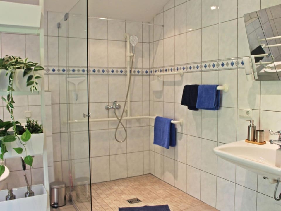 Shower, Bathroom, towels, laundry, acessibility