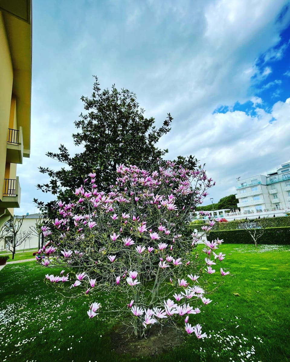 Apartment with Pool in Cavalino Jesolo Apartment in Cavallino-Treporti