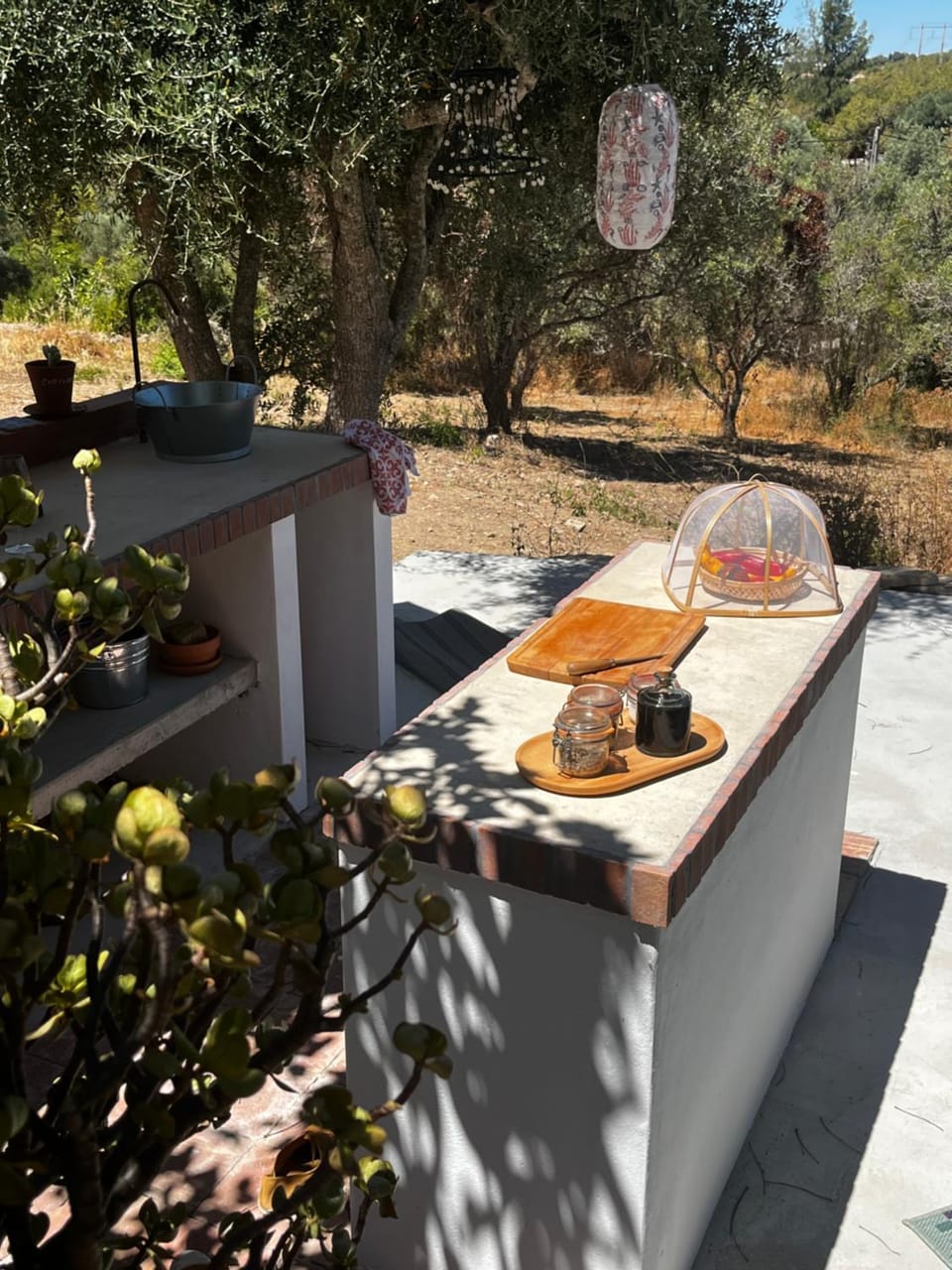 Patio, Food