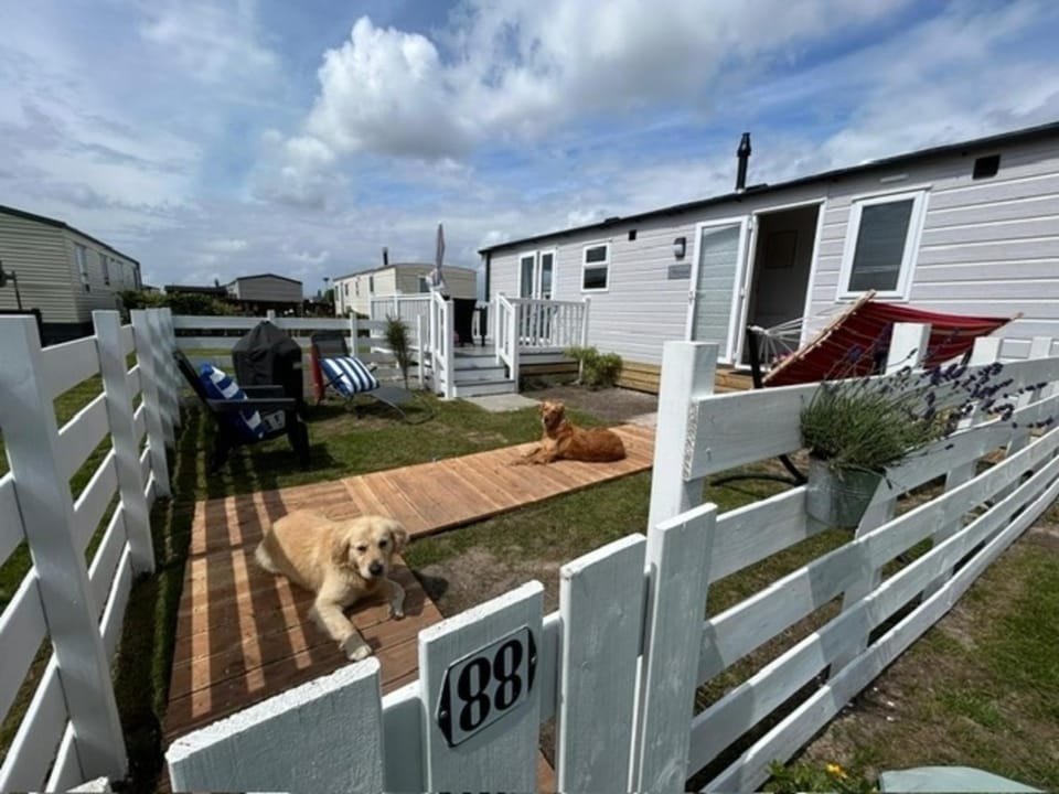 Nr 88 Neues, ruhiges hundefreundliches Ferienhaus direkt am Wattenmeer, komplett eingezäunt House in North Holland (province)