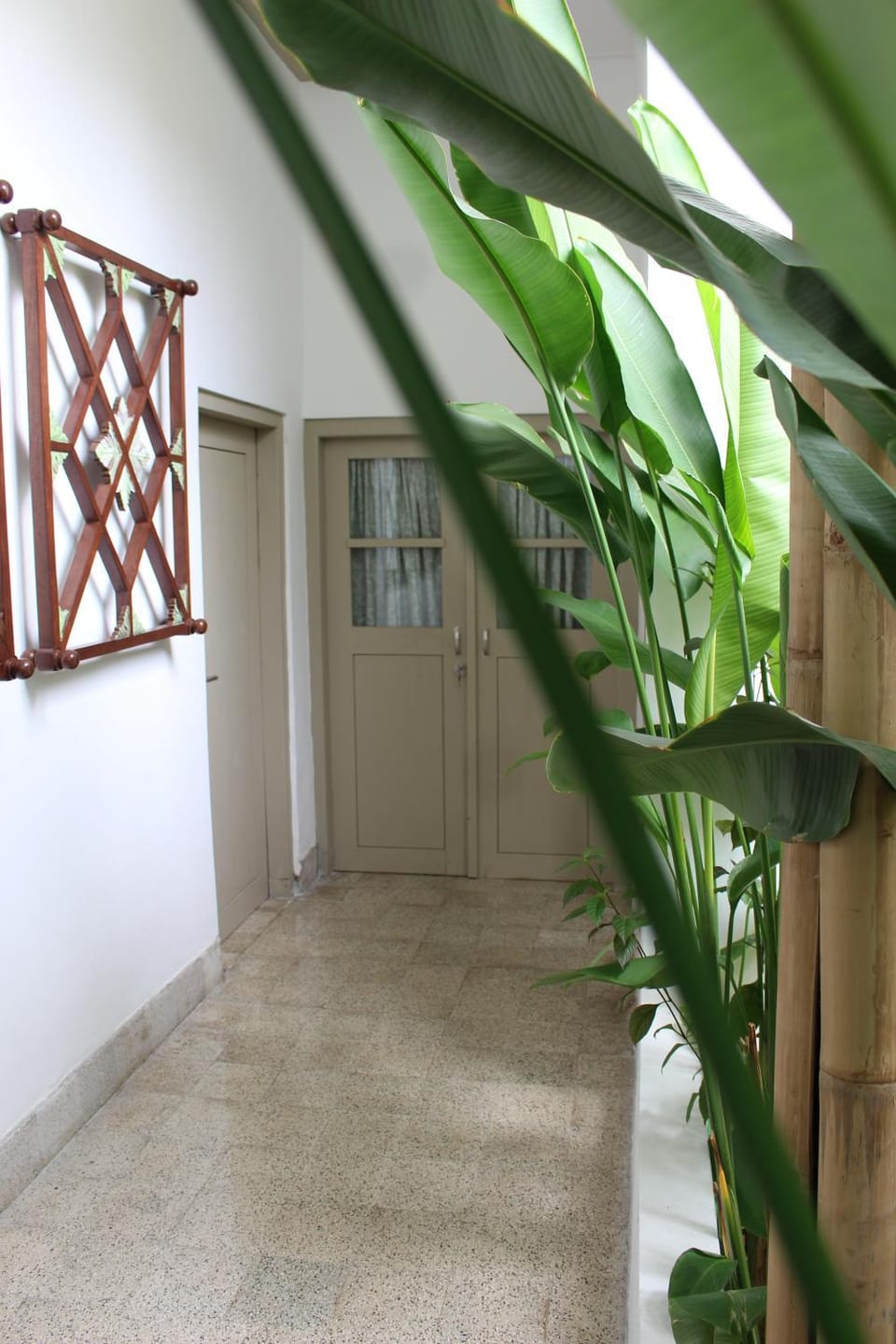 Ijen Haus Hostel in East Java