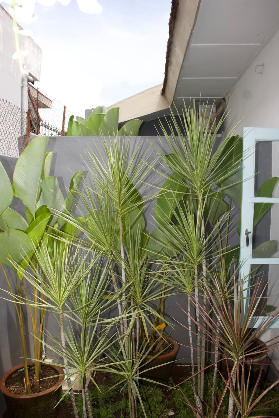 Ijen Haus Hostel in East Java