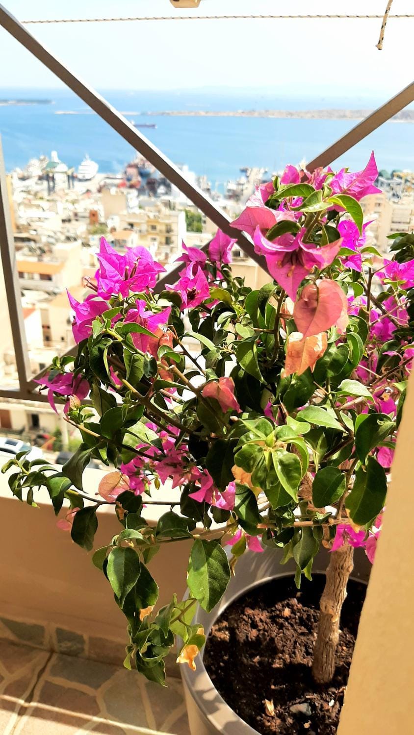 View (from property/room), Balcony/Terrace, Sea view