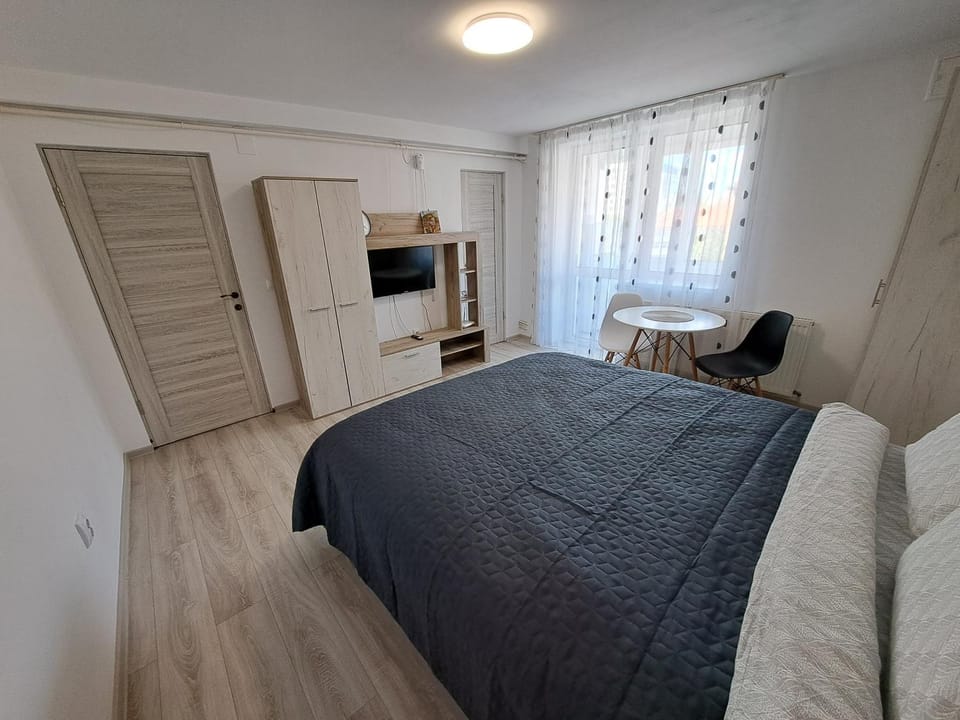 Studio apartment La Boulevard Apartment in Brasov