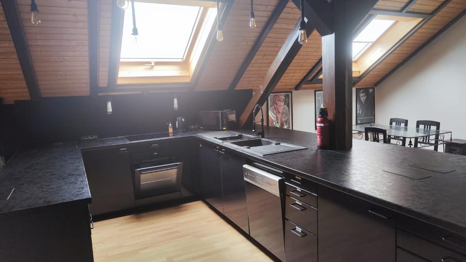 Kitchen or kitchenette, dishwasher, stove