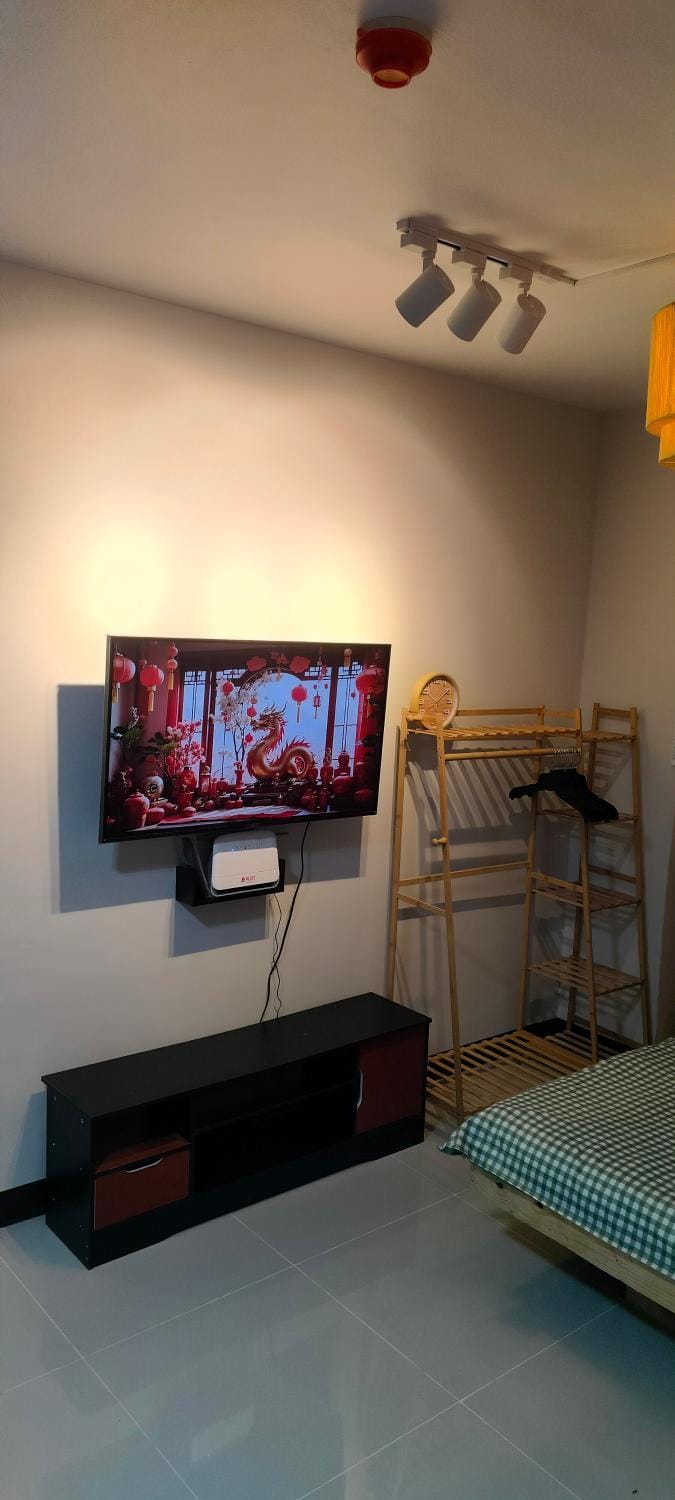 TV and multimedia, Evening entertainment