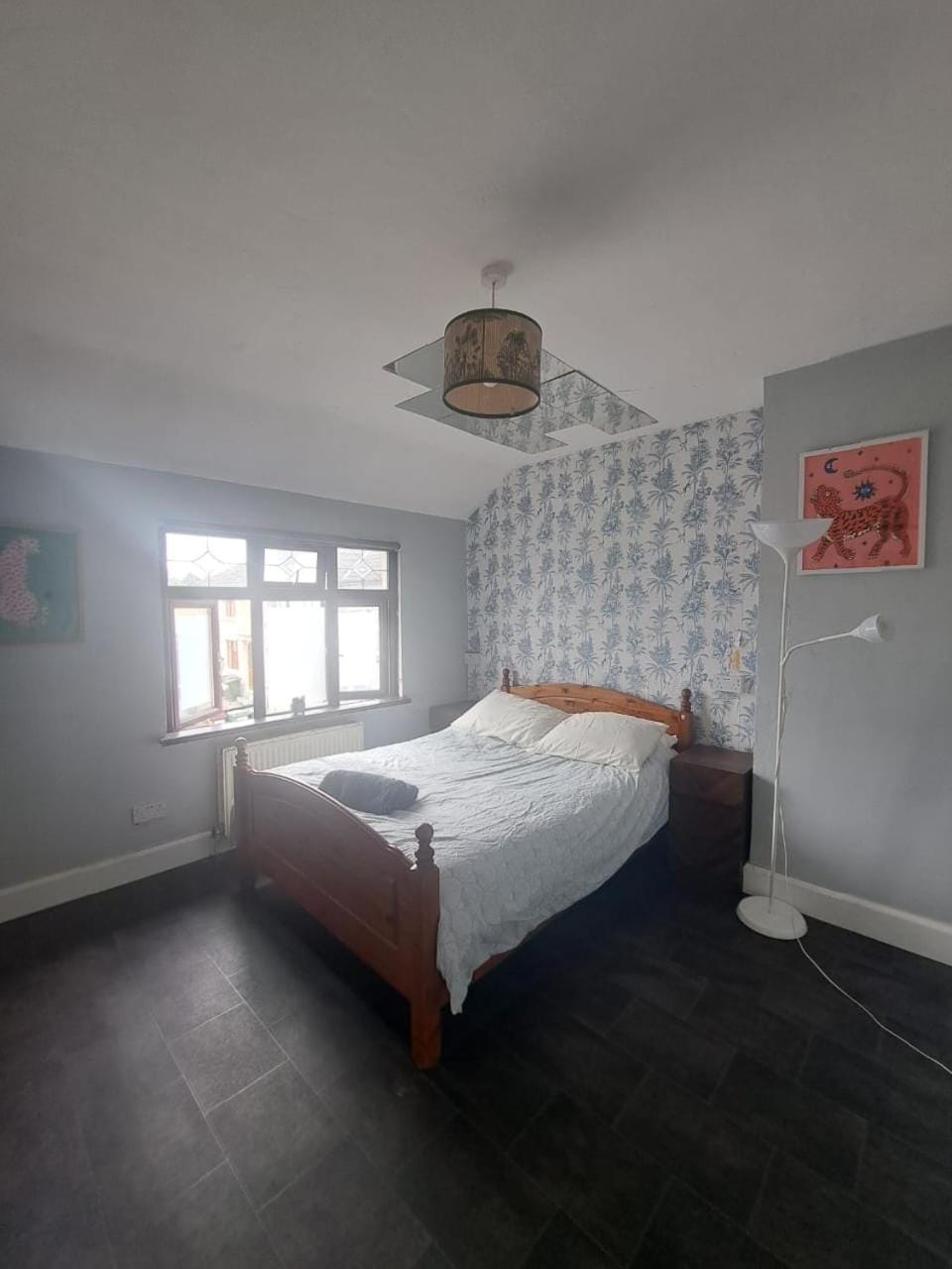 wake up with 2 cats on your face Bed and Breakfast in Dublin