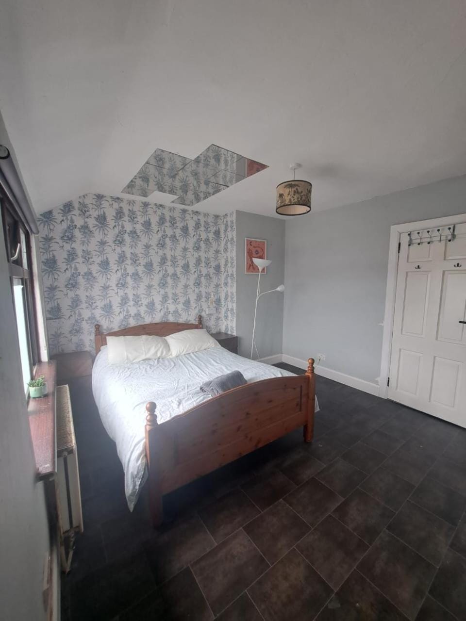 wake up with 2 cats on your face Bed and Breakfast in Dublin
