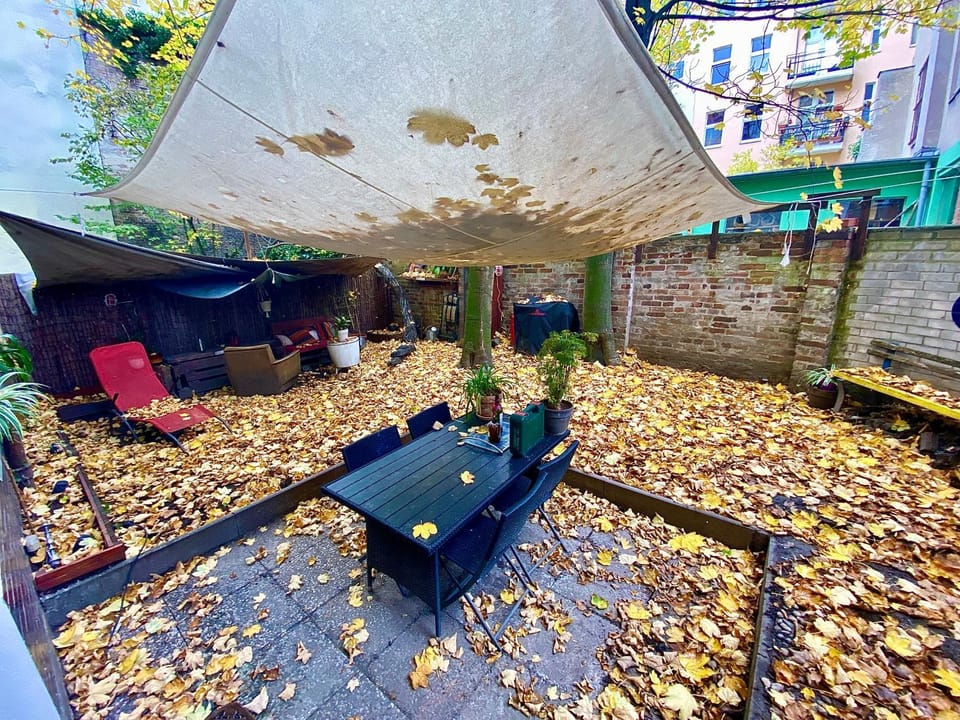 Patio, Day, Garden, Garden, Balcony/Terrace, Autumn, Garden view