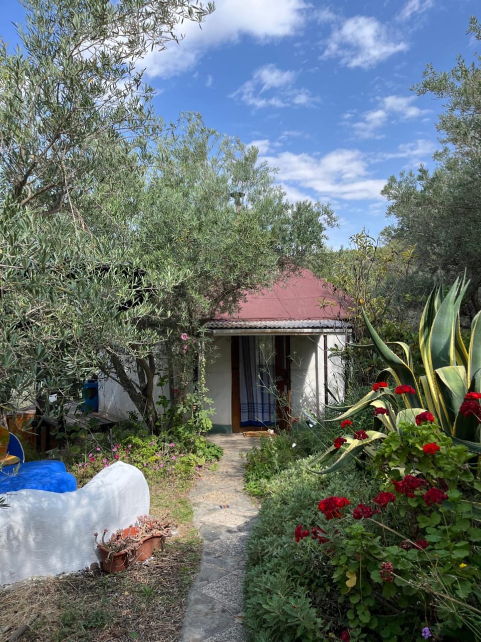 Property building, Garden view