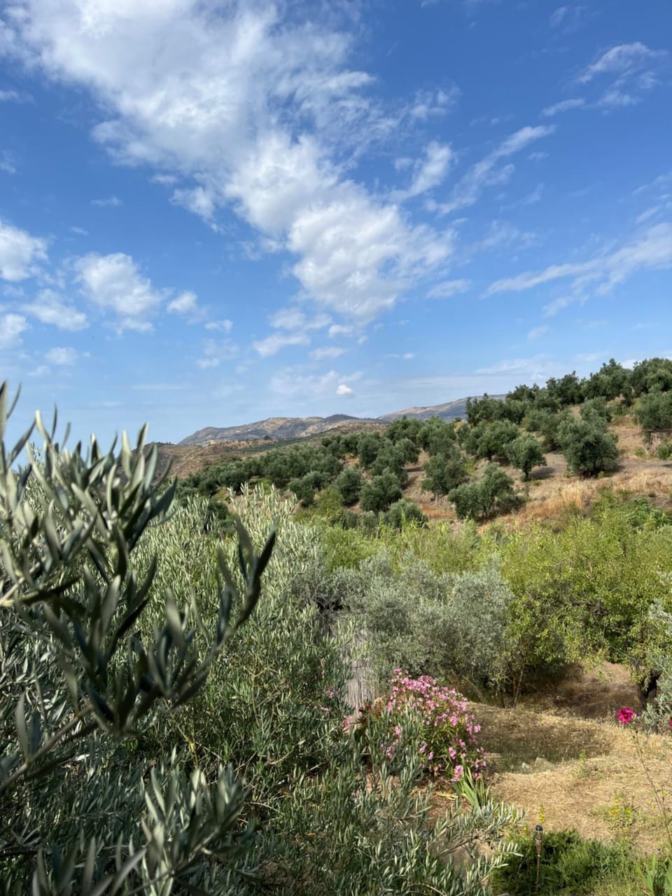 Cortijo alhijra big yourte Luxury tent in Alpujarra Granadina