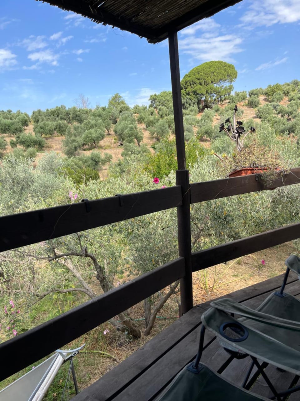 Natural landscape, Balcony/Terrace