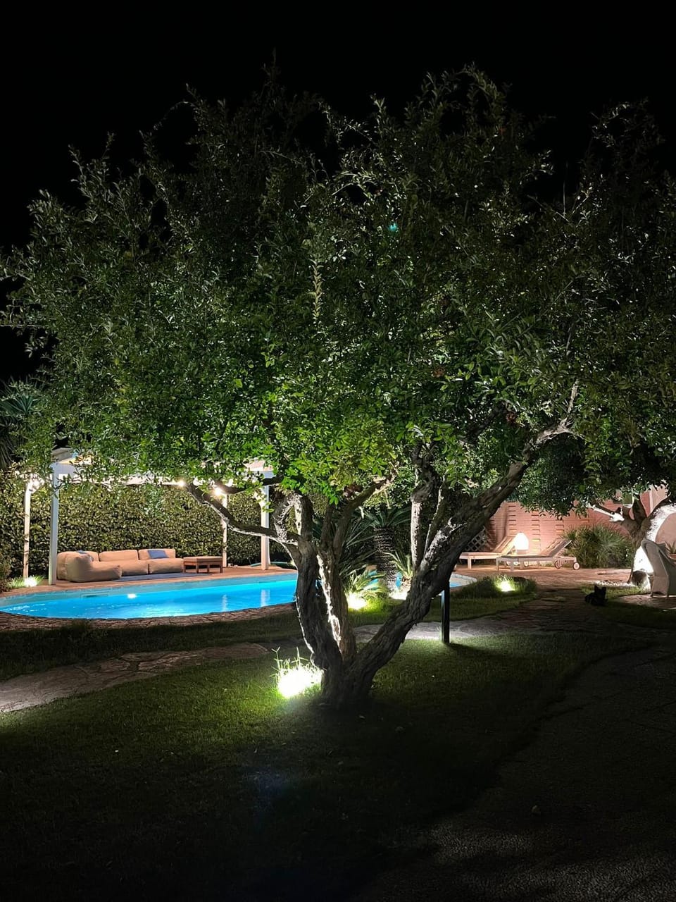 Night, Garden, Garden view, Pool view, Swimming pool