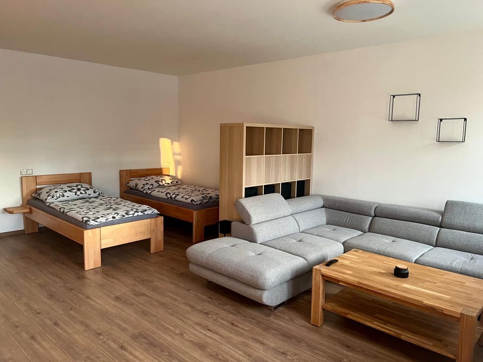 Bed, Living room, Photo of the whole room, Seating area, Bedroom