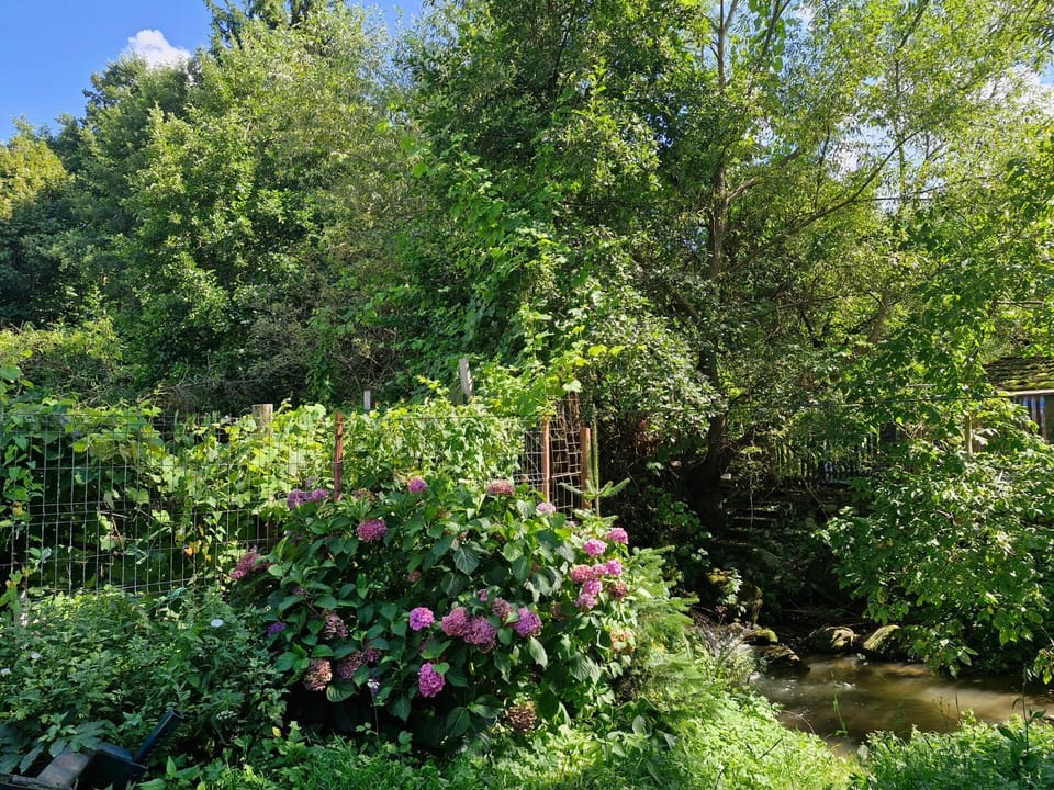 Natural landscape