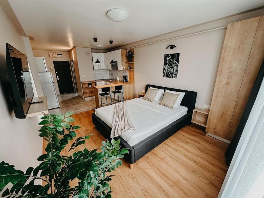 AGOLL Victoria - self checkin Apartment in Timiș County