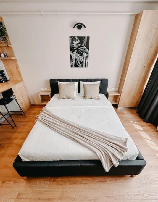 AGOLL Victoria - self checkin Apartment in Timiș County