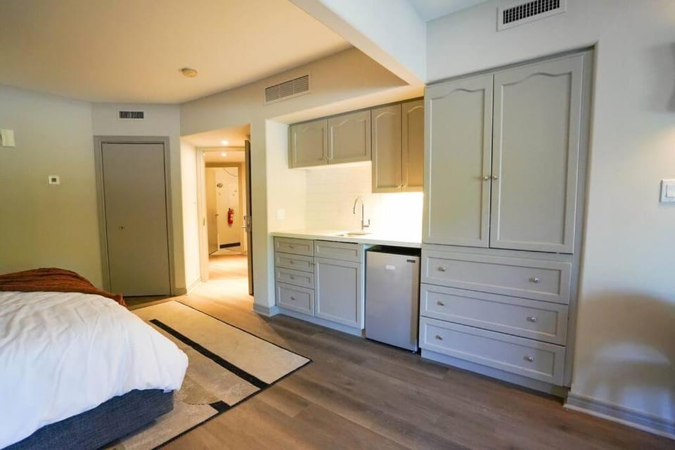 Luxurious Studio with King Bed with Pullout Apartment in New York
