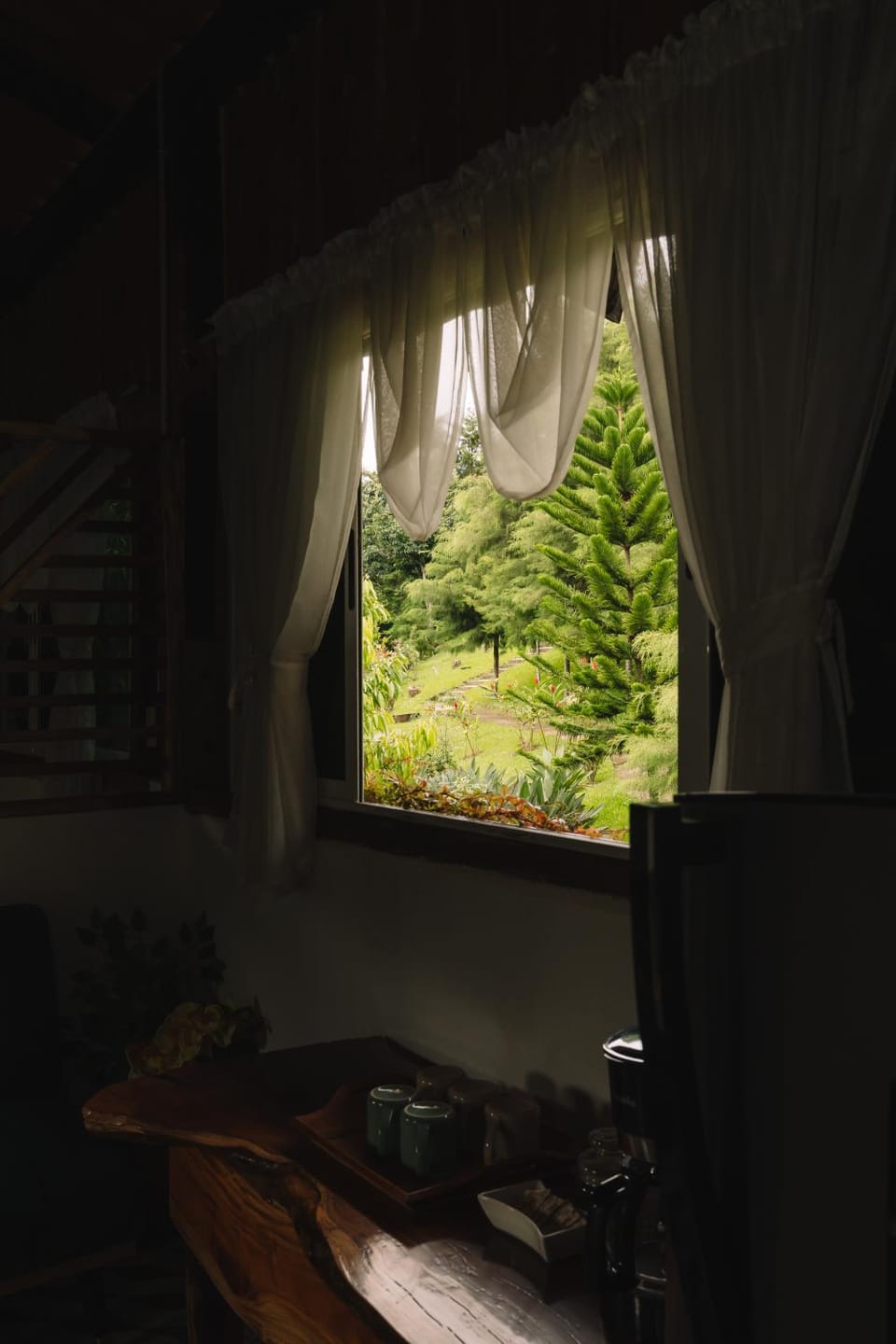 Garden view