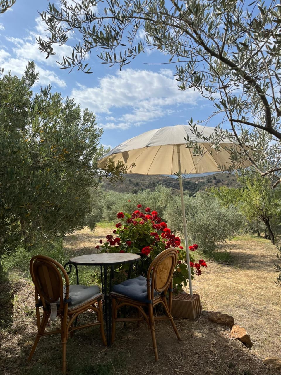 Patio, Mountain view