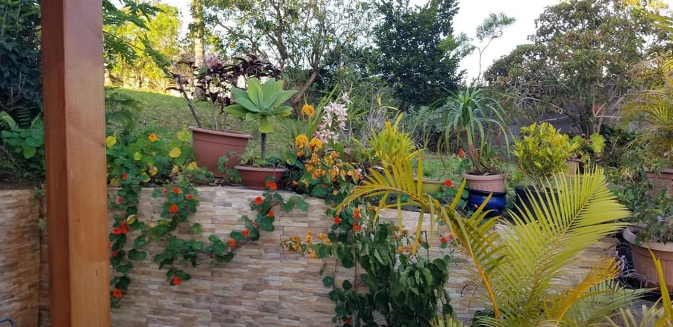 Garden view