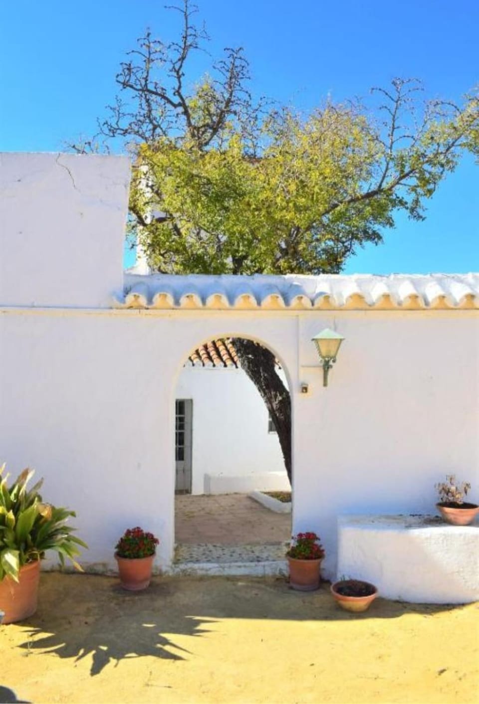 Georgesville Bed and Breakfast in Marbella