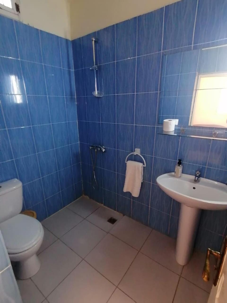 Calma Maison de charme Apartment in Tunisia