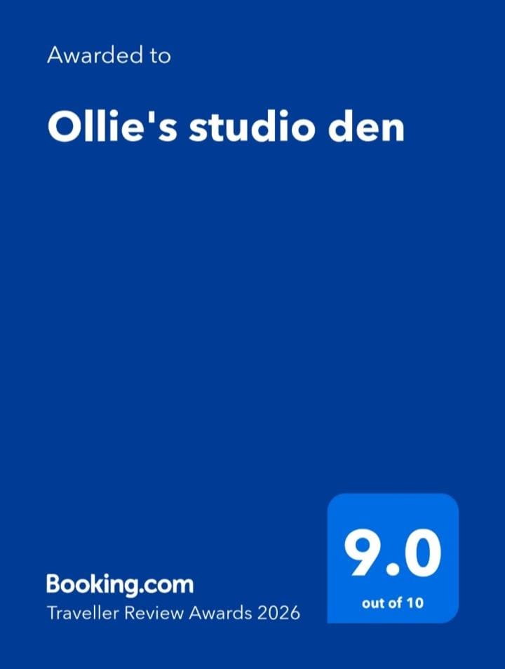 Ollie's studio den Apartment in Ireland