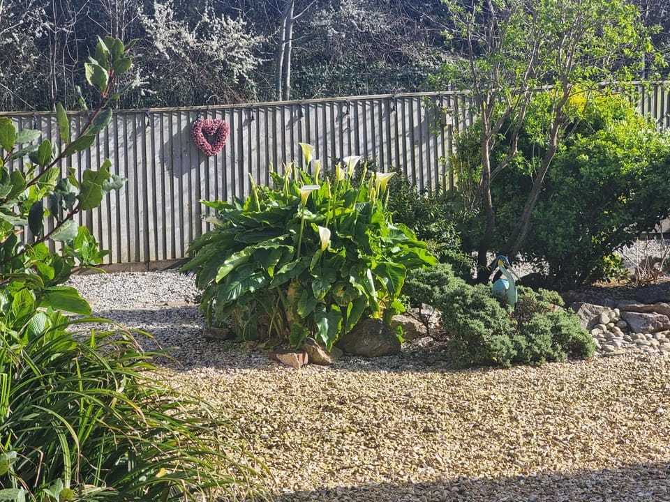 Seas The Day - Paignton, Close to Beach, Excellent Location House in Paignton