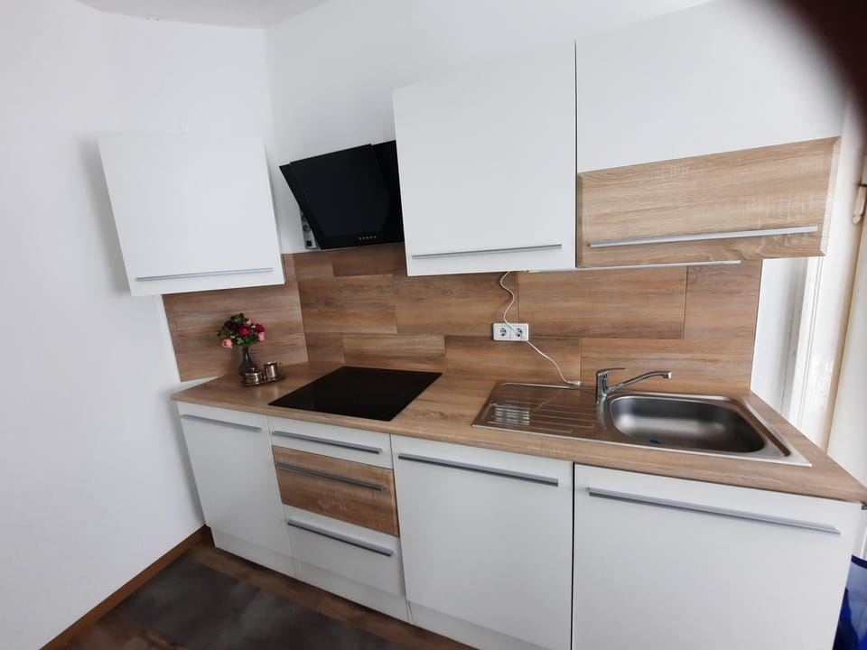 Kitchen or kitchenette, dishwasher, stove