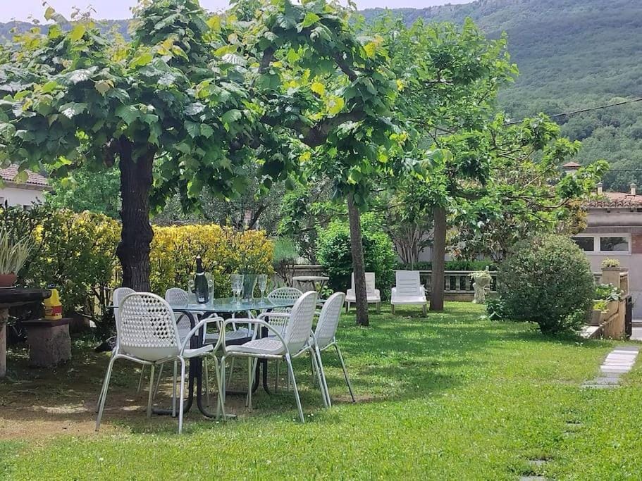 Garden, Garden, Mountain view