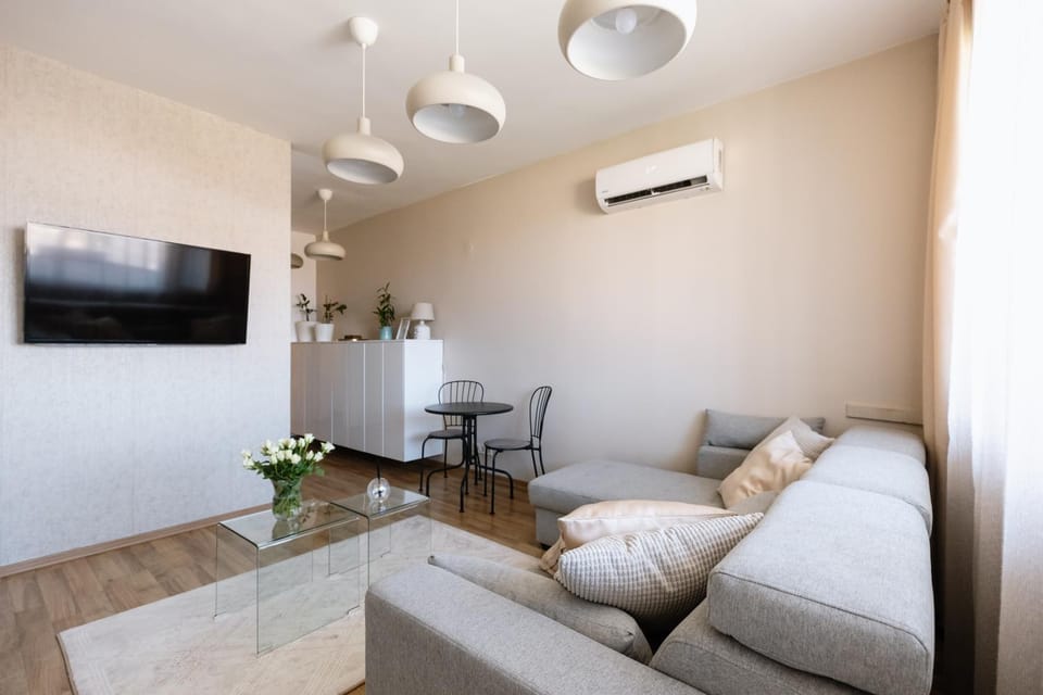 Communal lounge/ TV room, Living room, air conditioner