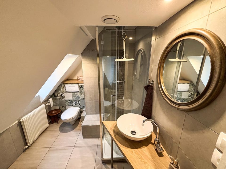 Shower, Toilet, Bathroom, towels