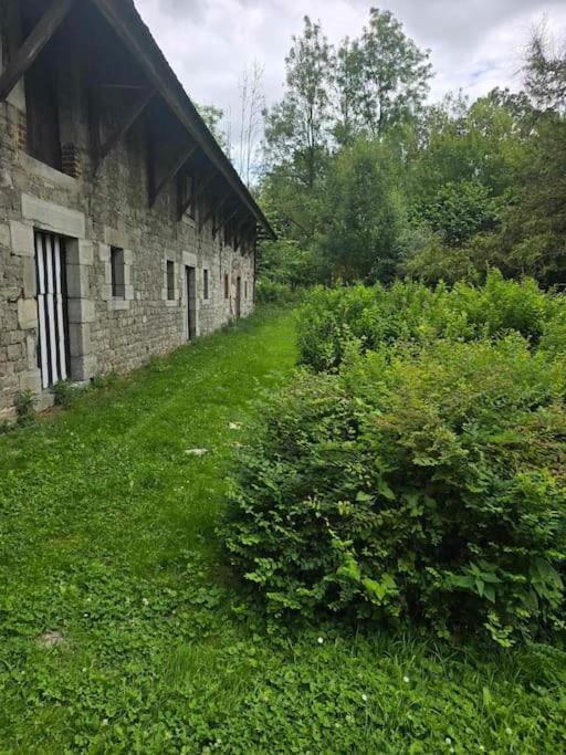 Garden, Garden, Garden view