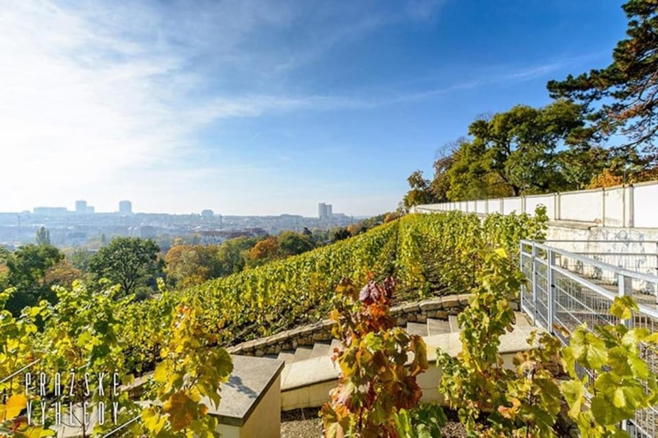 Luxury apartment with terrace and garage Apartment in Prague