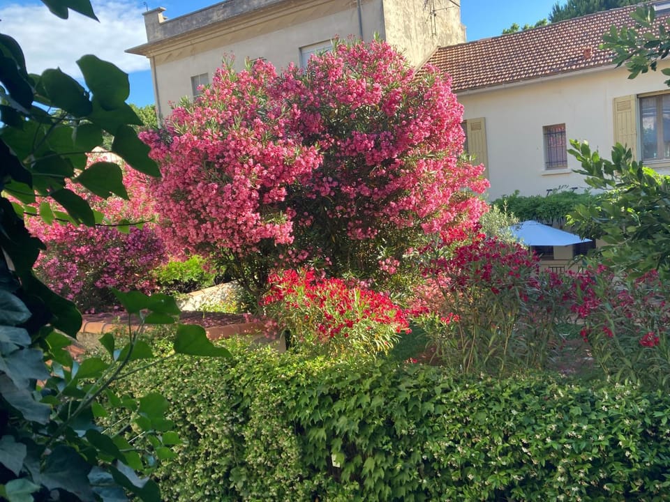 Appartement complet ou 2 Chambres de charme en centre-ville Bed and Breakfast in Arles
