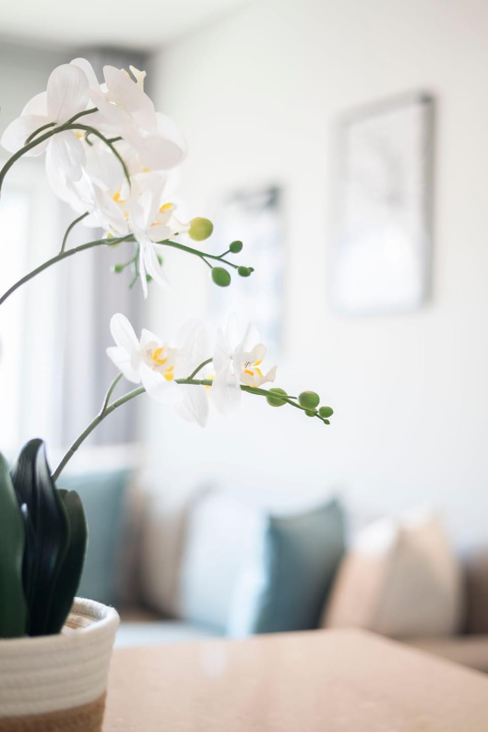 Coastal City Vibes - Stylish 2-Bedroom Apartment in Sea Point